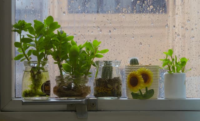 콘텐츠 이미지 3