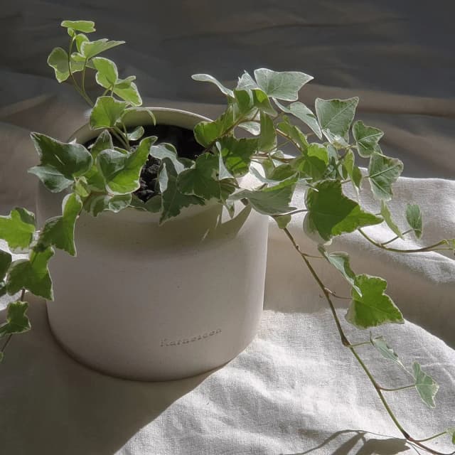 콘텐츠 이미지 2