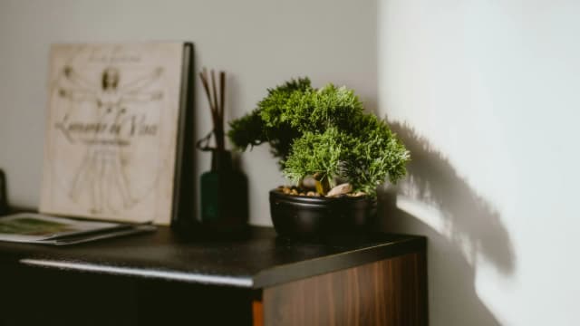 콘텐츠 이미지 3