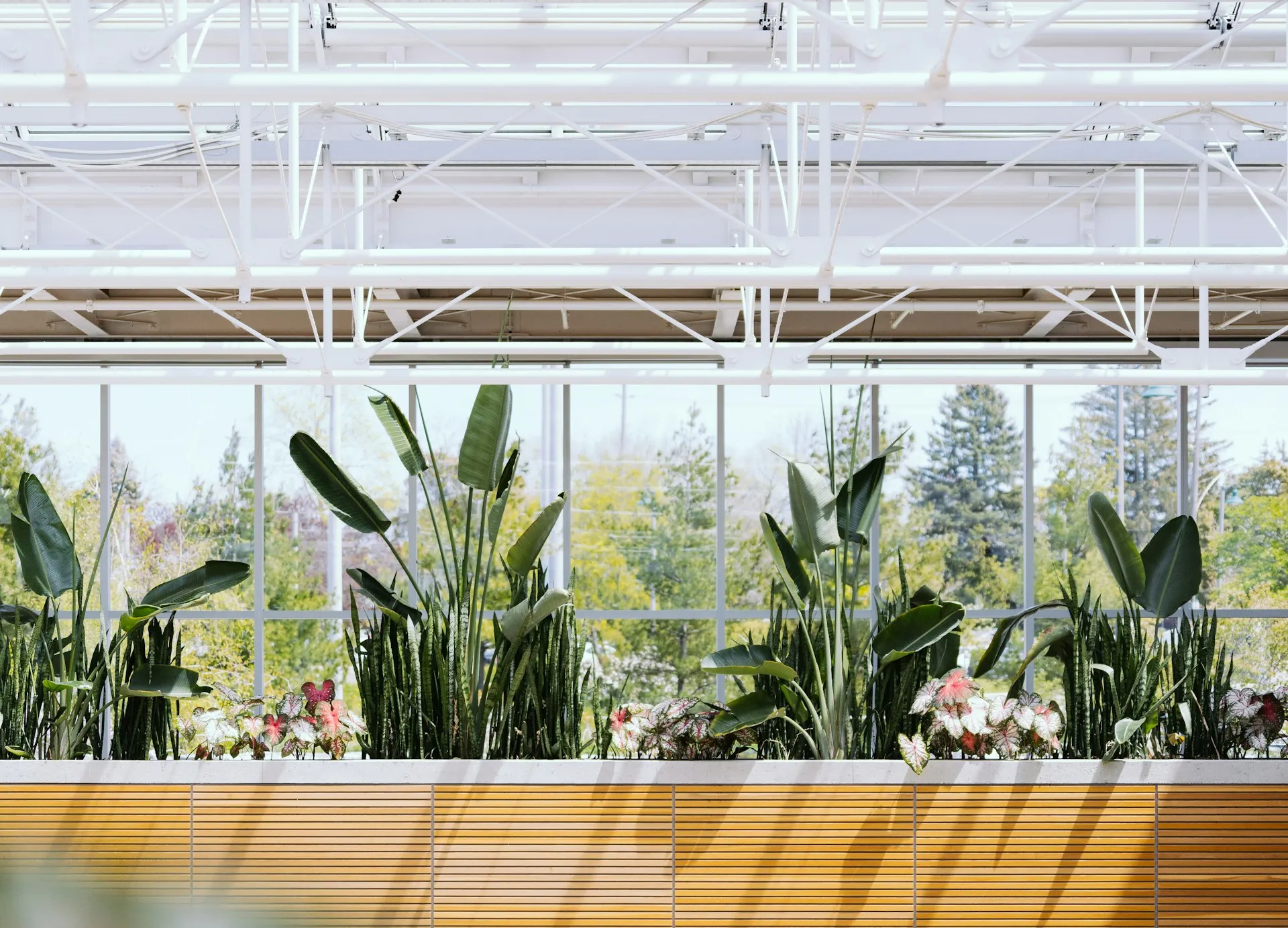 통풍이 좋은 공간에서 식물이 더 잘 자라는 이유